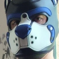 pupbuday Голе