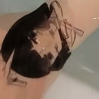 s2x6974892 / 미친년 Голе
